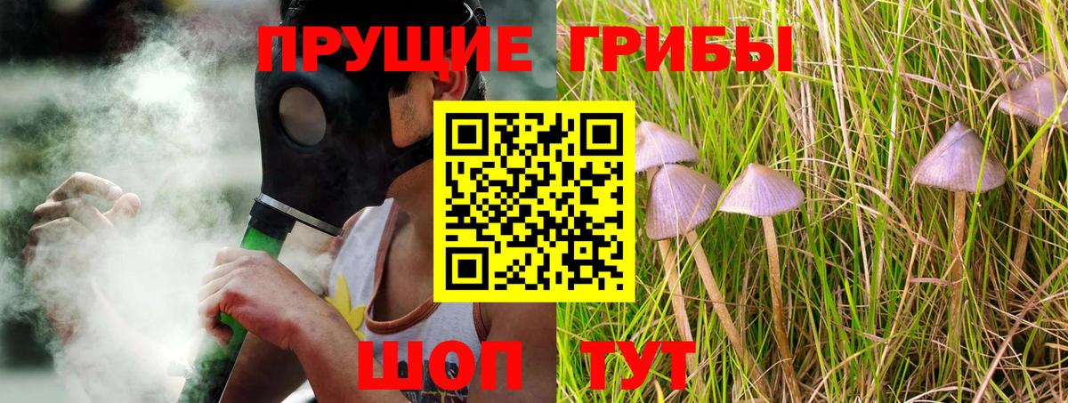 Галлюциногенные грибы Cubensis  где продают   Вход с VPN  Южно-Сахалинск  Галлюциногенные грибы прущие грибы 
